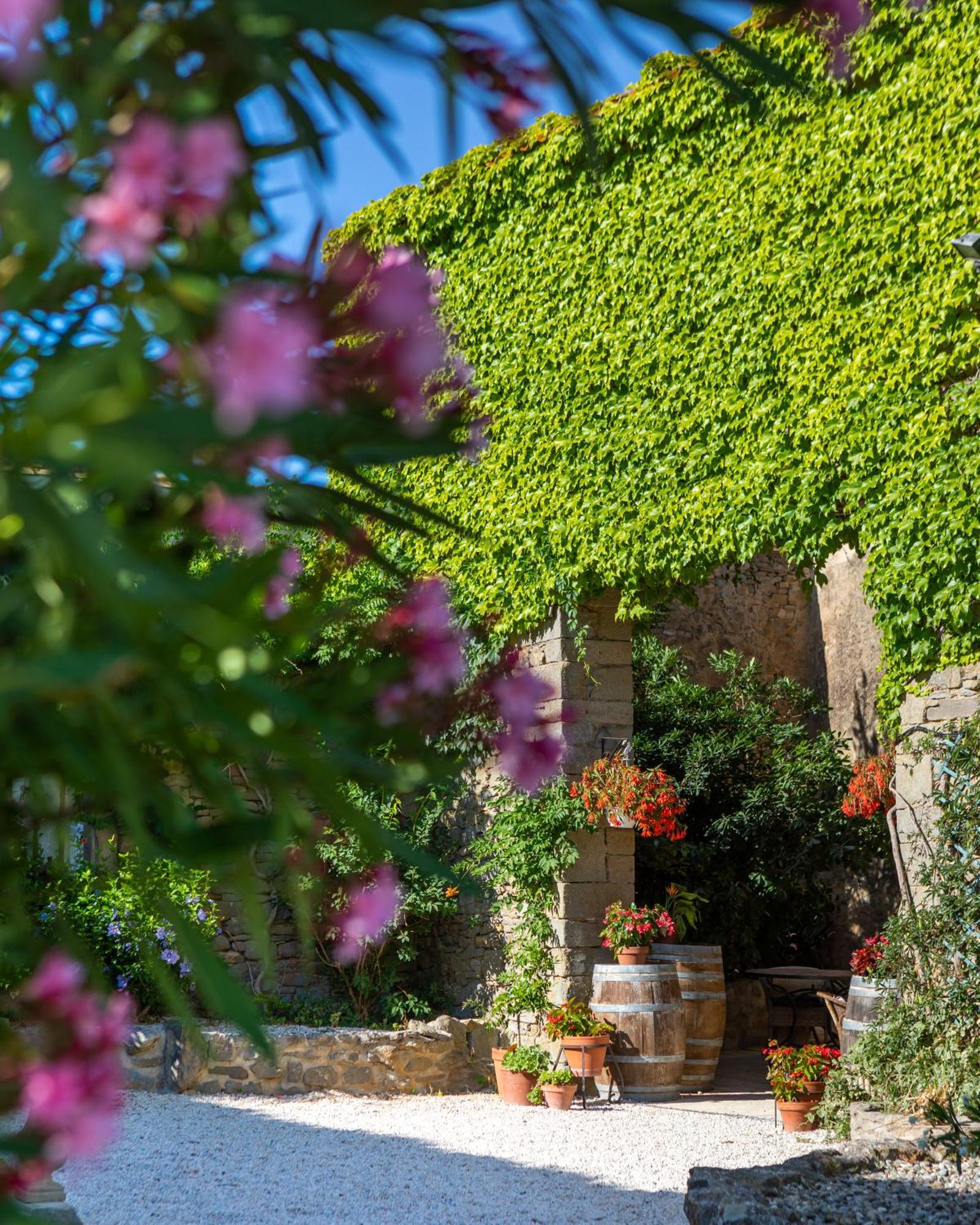 Pensjonat Domaine De Palats Laure-Minervois Zewnętrze zdjęcie
