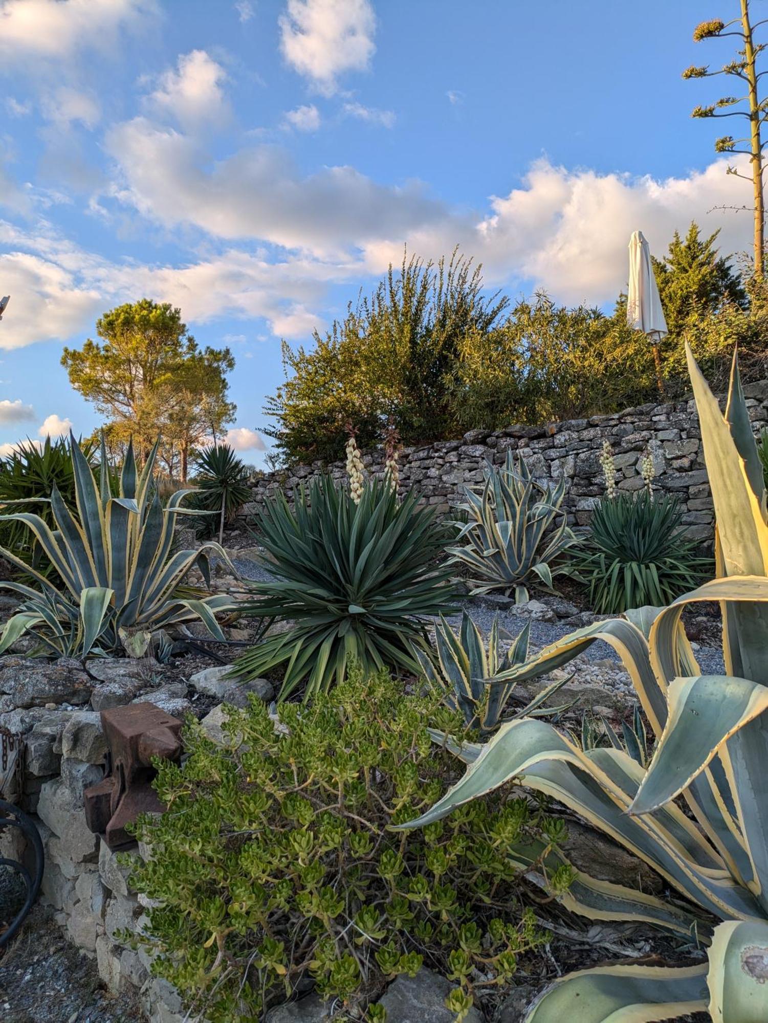 Pensjonat Domaine De Palats Laure-Minervois Zewnętrze zdjęcie