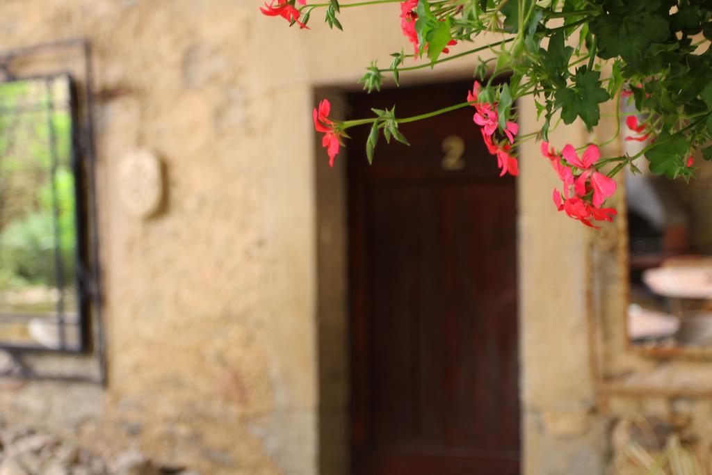 Pensjonat Domaine De Palats Laure-Minervois Zewnętrze zdjęcie