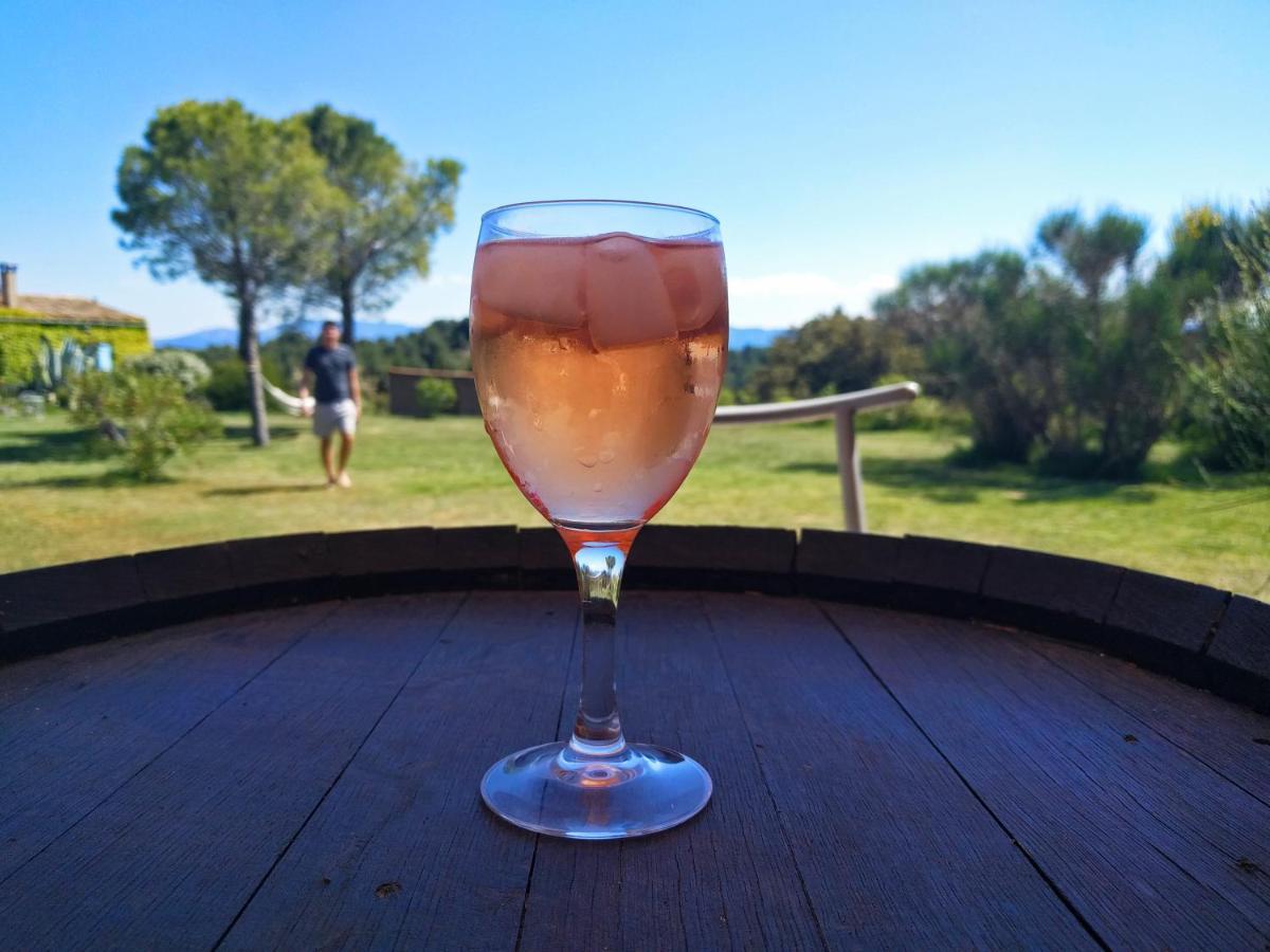 Pensjonat Domaine De Palats Laure-Minervois Zewnętrze zdjęcie