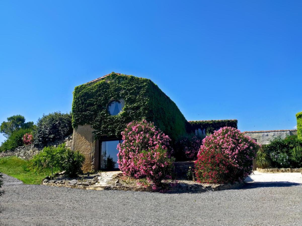 Pensjonat Domaine De Palats Laure-Minervois Zewnętrze zdjęcie